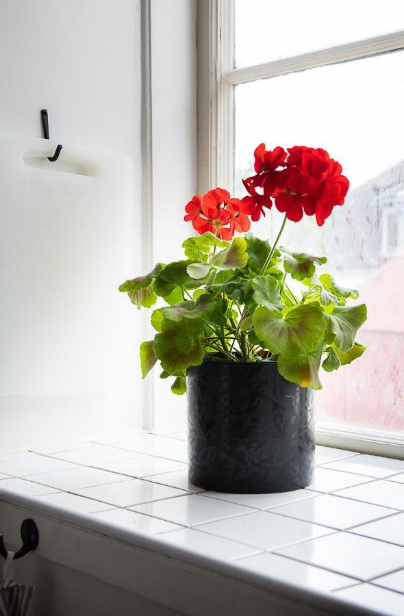 Apartament Karl-Oskars Krypin Visby Zewnętrze zdjęcie